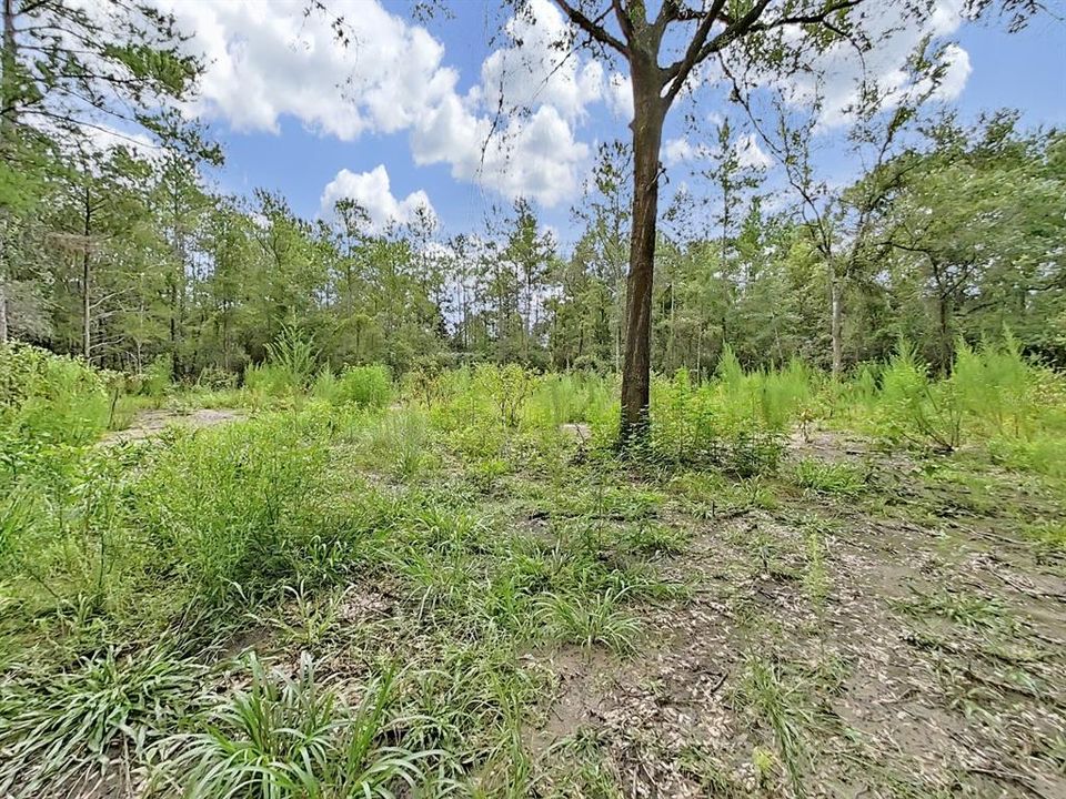 合同活跃: $23,500 (1.00 acres)