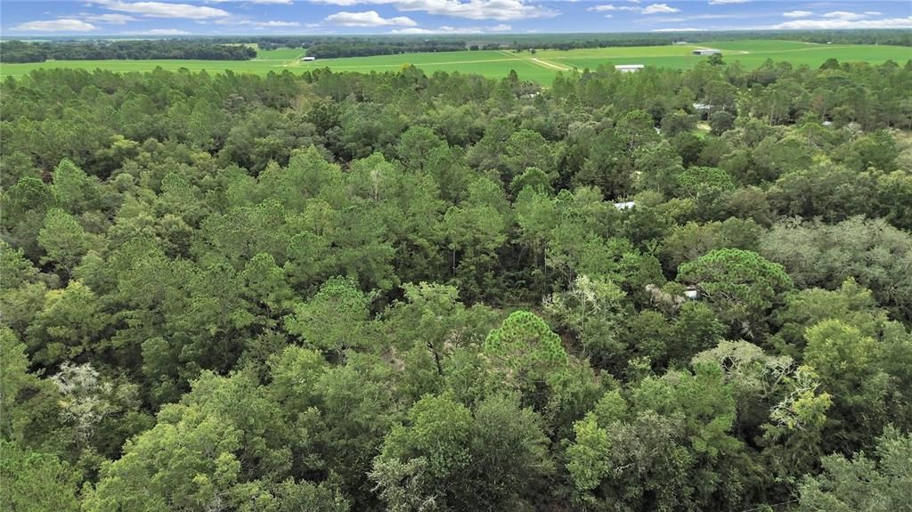 合同活跃: $23,500 (1.00 acres)