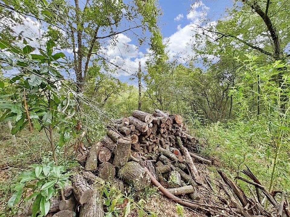 合同活跃: $23,500 (1.00 acres)