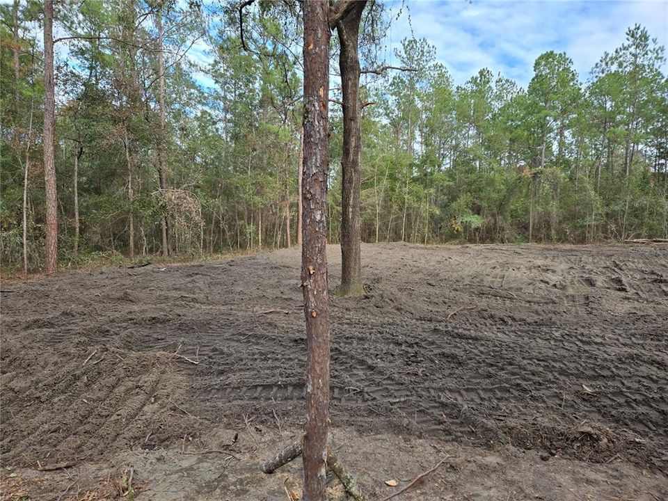 合同活跃: $23,500 (1.00 acres)