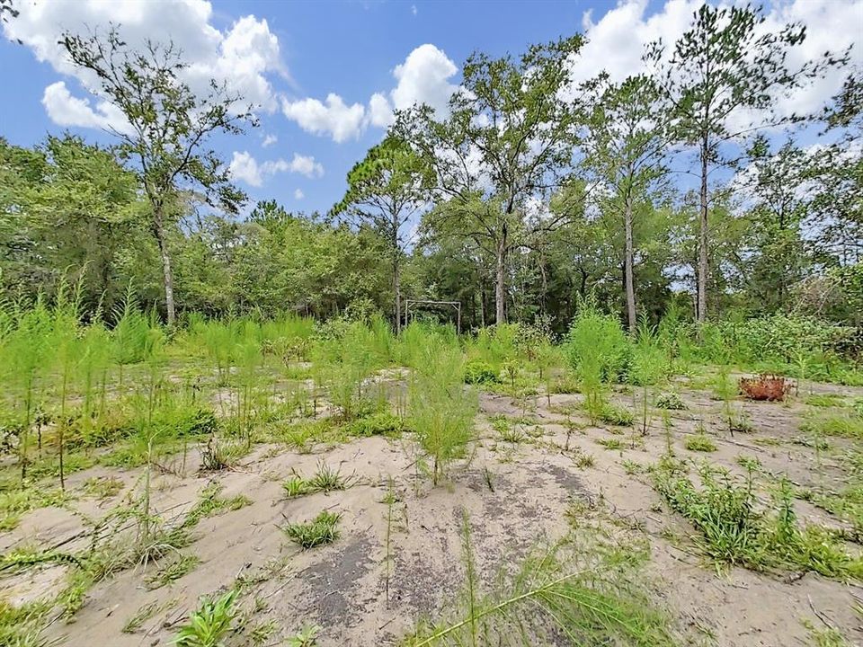 合同活跃: $23,500 (1.00 acres)