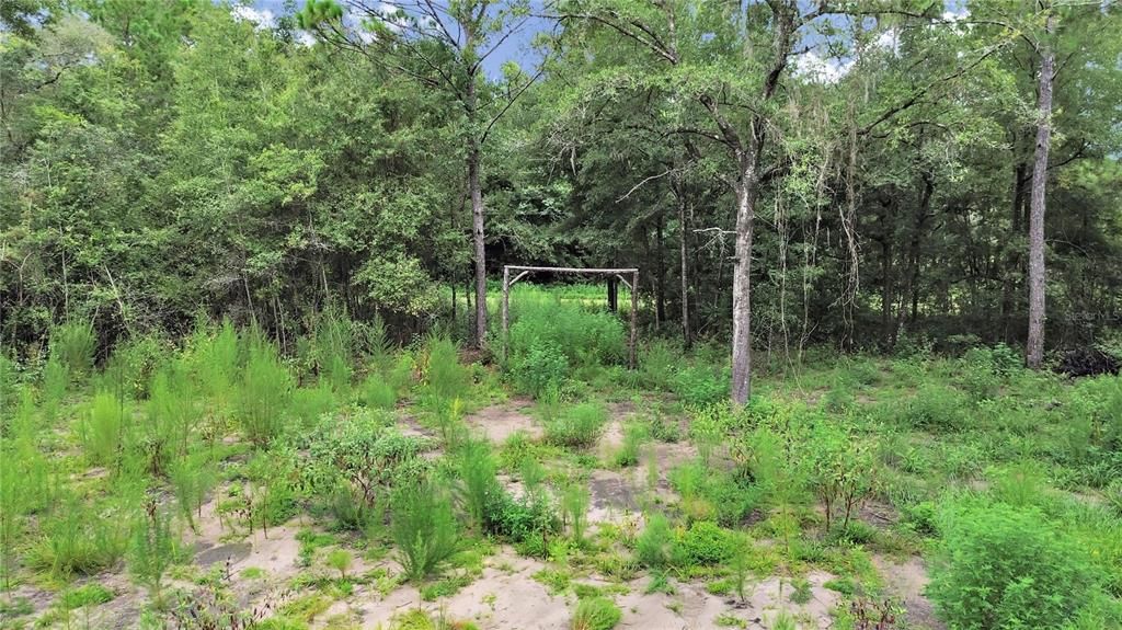 合同活跃: $23,500 (1.00 acres)