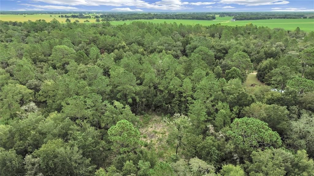 合同活跃: $23,500 (1.00 acres)