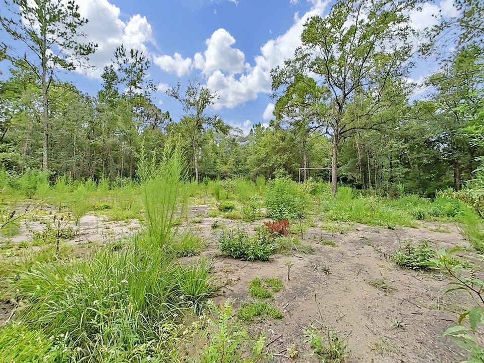 合同活跃: $23,500 (1.00 acres)