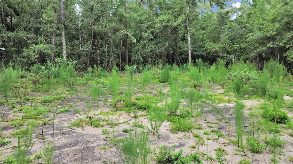 合同活跃: $23,500 (1.00 acres)