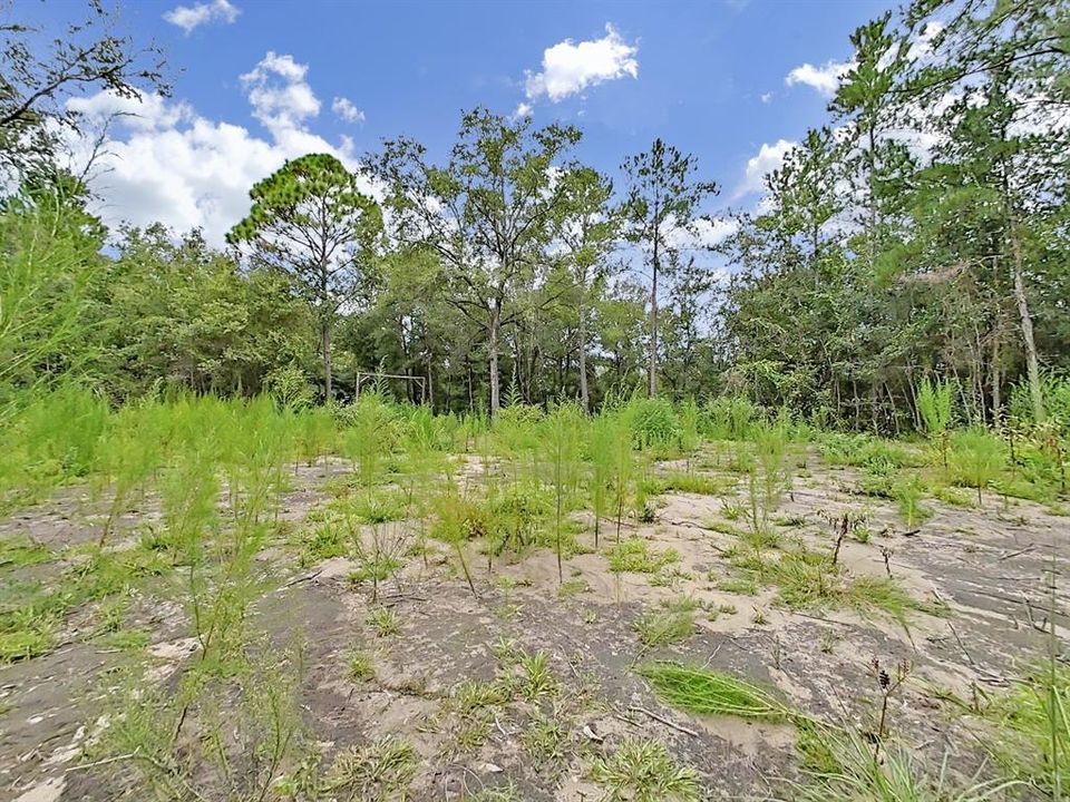 合同活跃: $23,500 (1.00 acres)