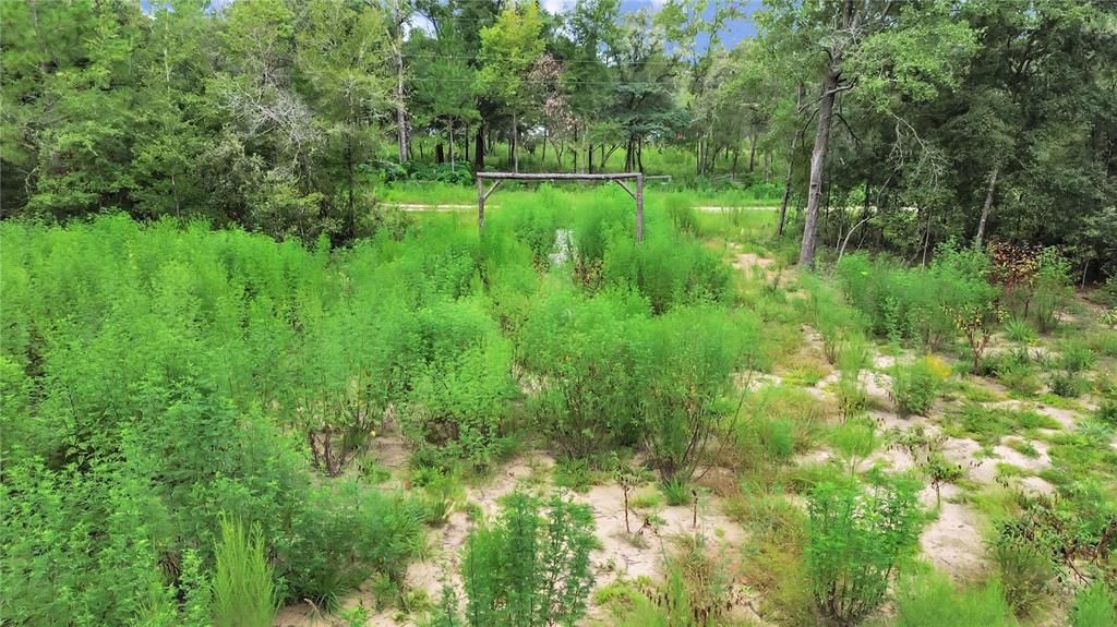 Active With Contract: $23,500 (1.00 acres)