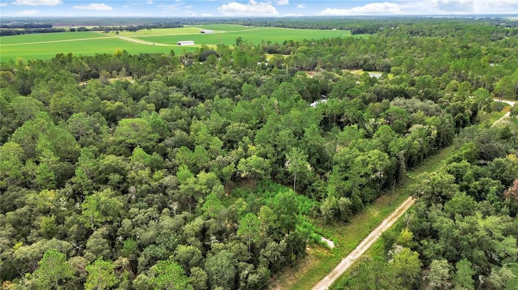 Active With Contract: $23,500 (1.00 acres)