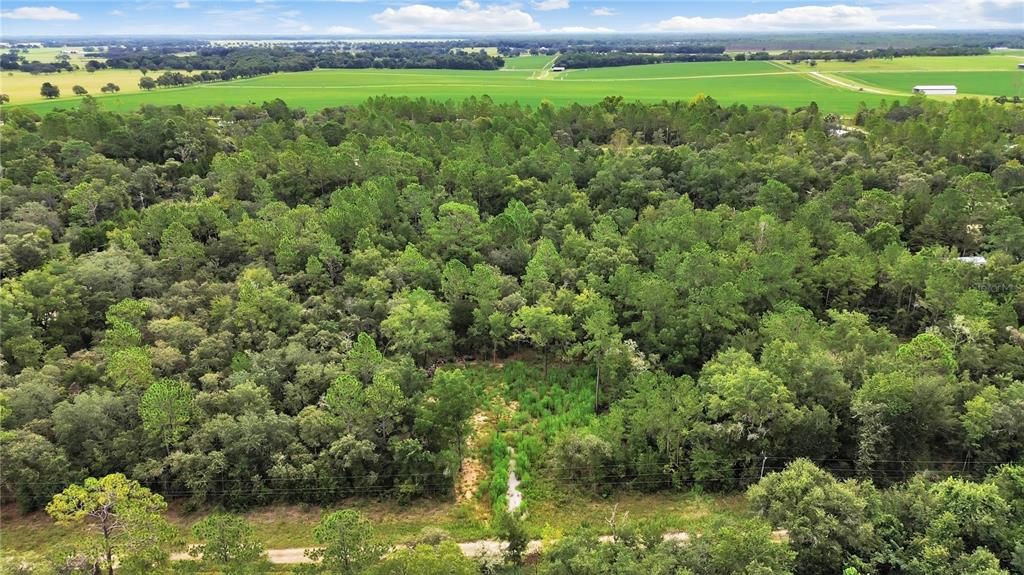 Active With Contract: $23,500 (1.00 acres)