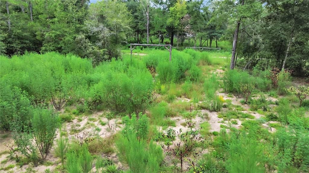 Active With Contract: $23,500 (1.00 acres)