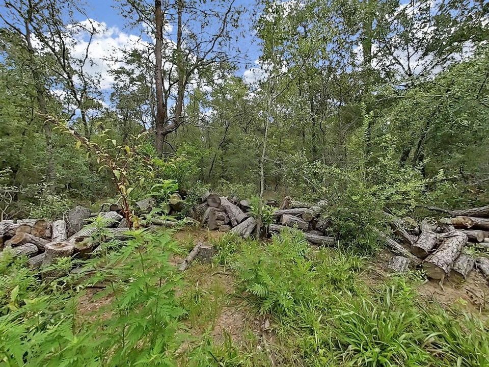 Active With Contract: $23,500 (1.00 acres)