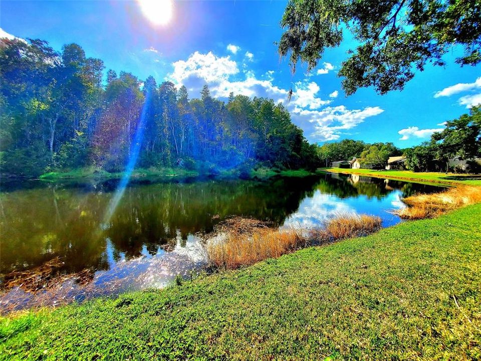 For Sale: $684,900 (4 beds, 2 baths, 2402 Square Feet)