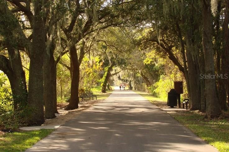 En Venta: $385,000 (0.29 acres)