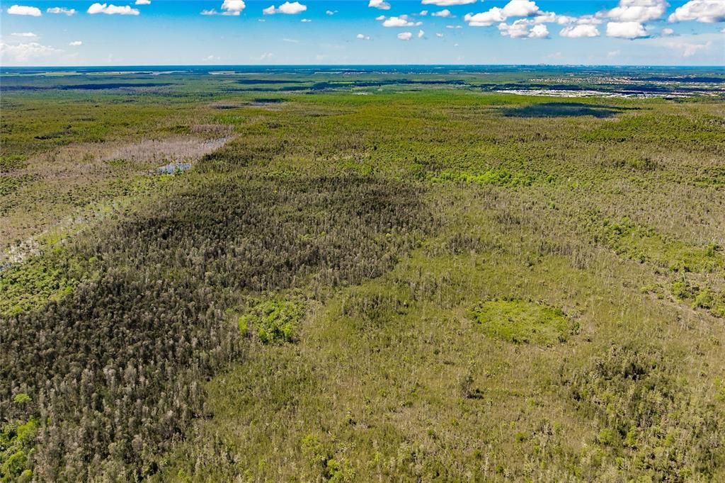 En Venta: $275,000 (5.00 acres)