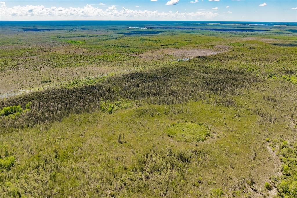 En Venta: $275,000 (5.00 acres)