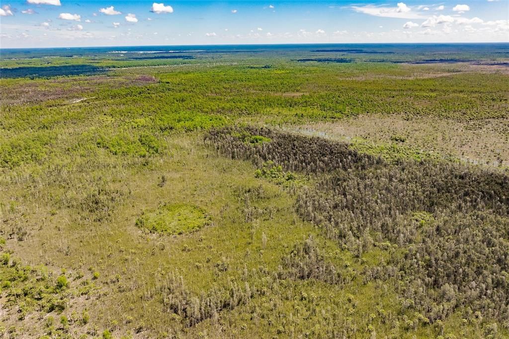 En Venta: $275,000 (5.00 acres)