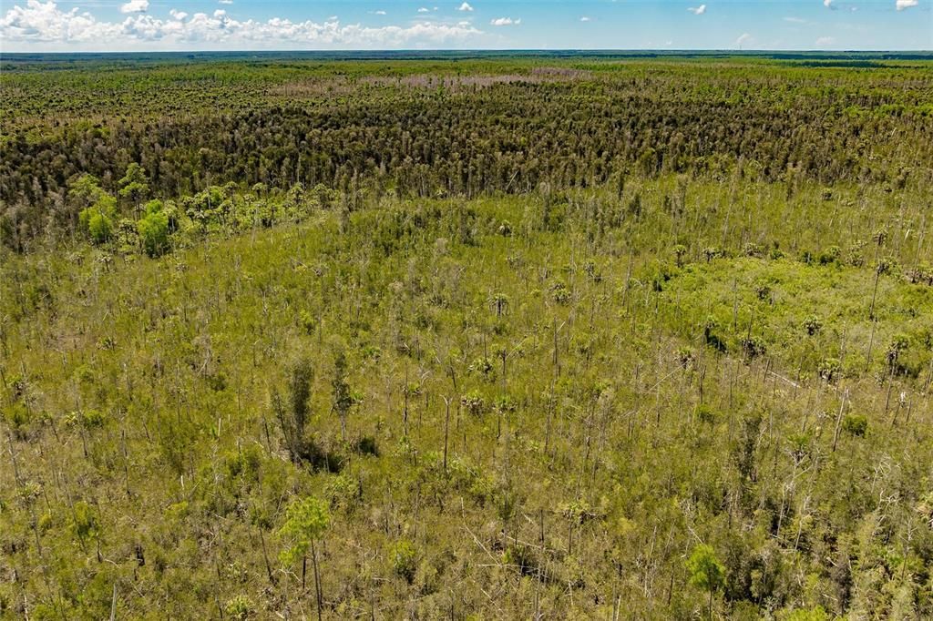 En Venta: $275,000 (5.00 acres)