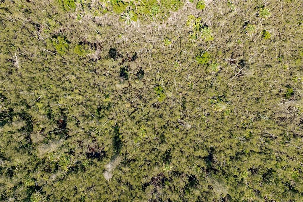 En Venta: $275,000 (5.00 acres)