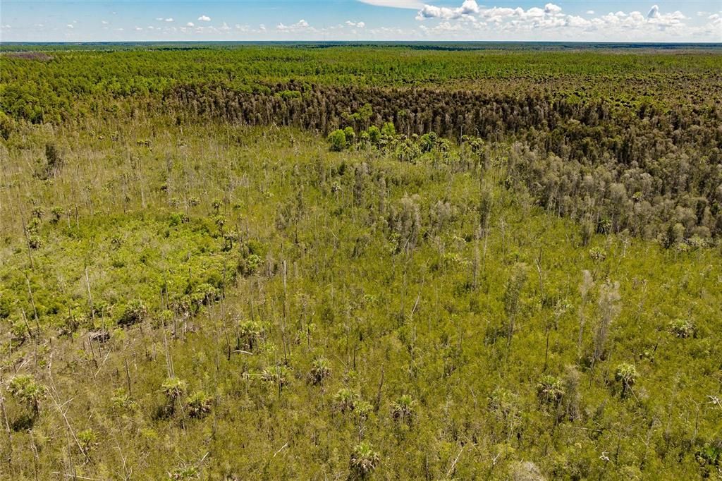 En Venta: $275,000 (5.00 acres)