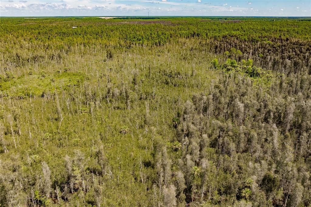 En Venta: $275,000 (5.00 acres)