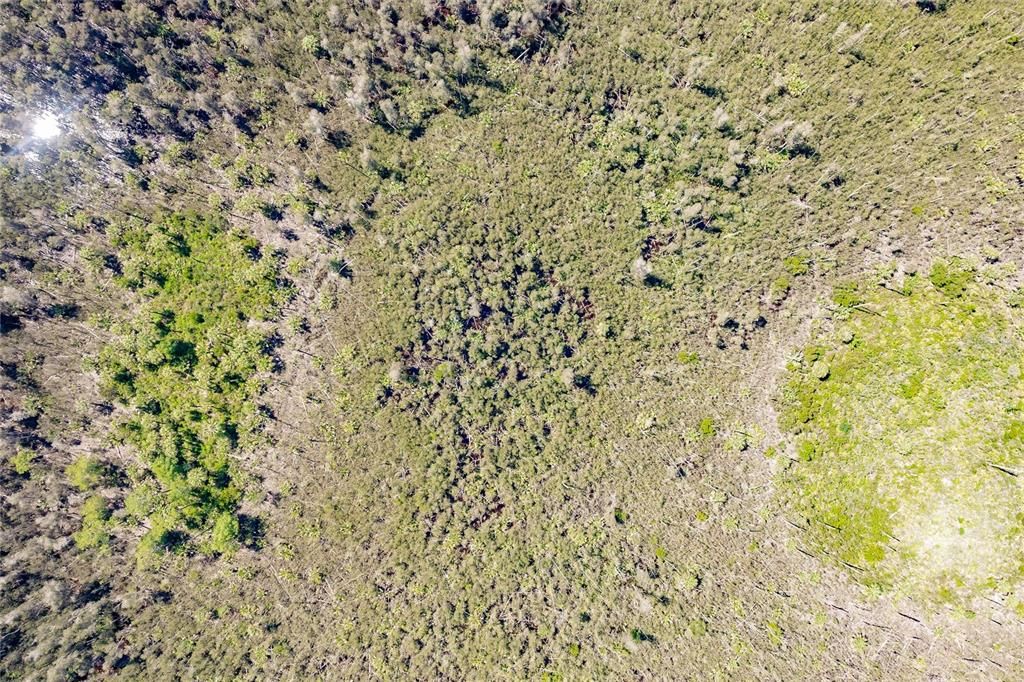 En Venta: $275,000 (5.00 acres)