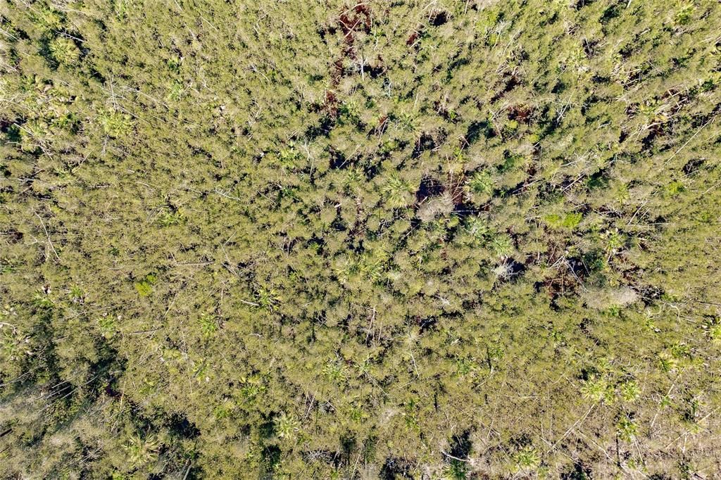 En Venta: $275,000 (5.00 acres)