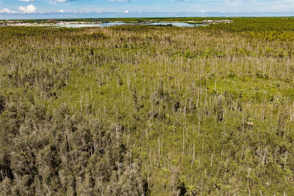 En Venta: $275,000 (5.00 acres)