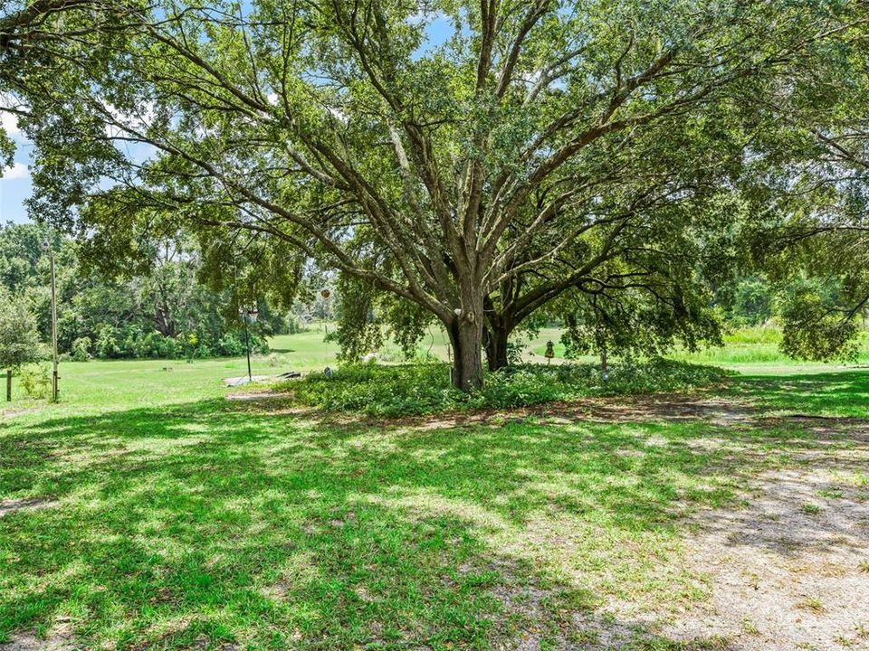 На продажу: $425,000 (3 спален, 2 ванн, 1809 Квадратных фут)