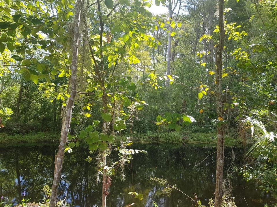 待售: $95,500 (0.23 acres)