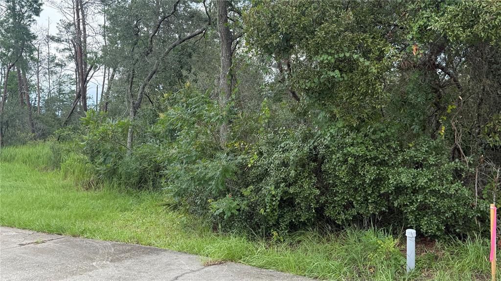 For Sale: $85,000 (0.60 acres)