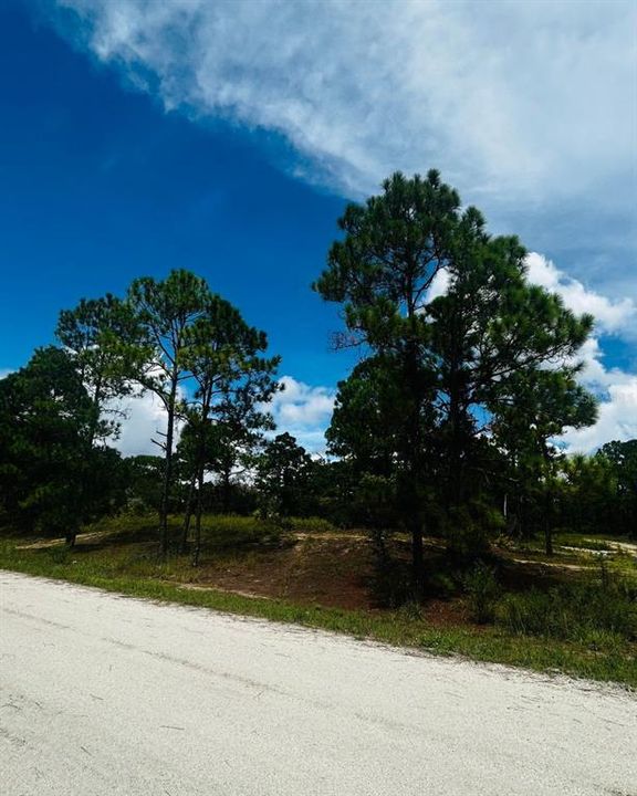 待售: $15,500 (0.28 acres)