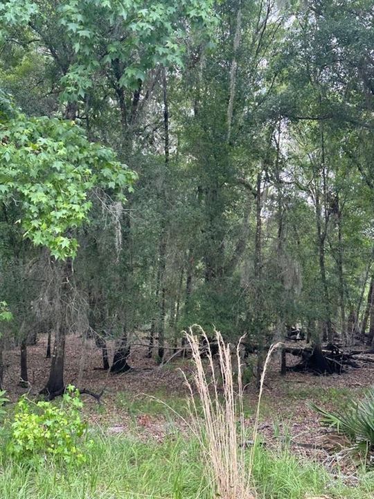 待售: $249,000 (5.59 acres)