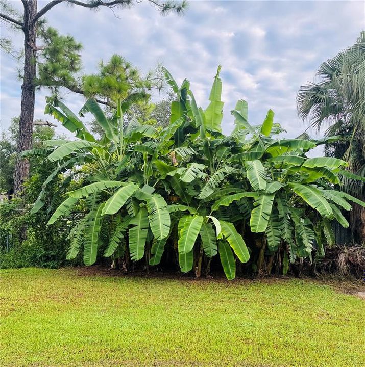 Active With Contract: $225,000 (2 beds, 1 baths, 716 Square Feet)