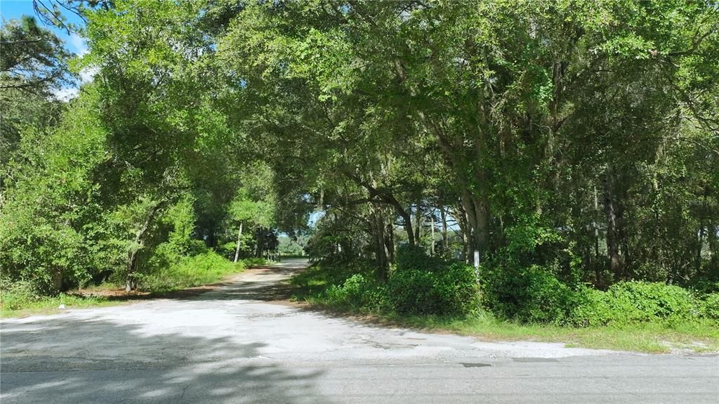 En Venta: $57,000 (1.25 acres)