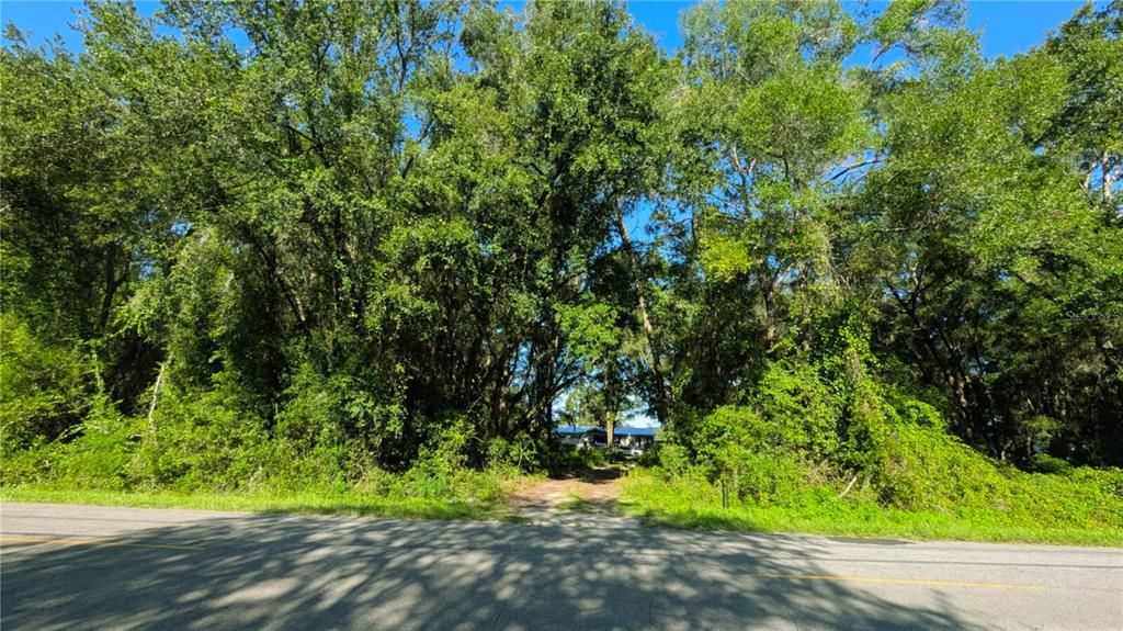 En Venta: $57,000 (1.25 acres)