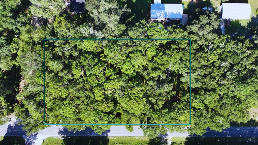 En Venta: $57,000 (1.25 acres)