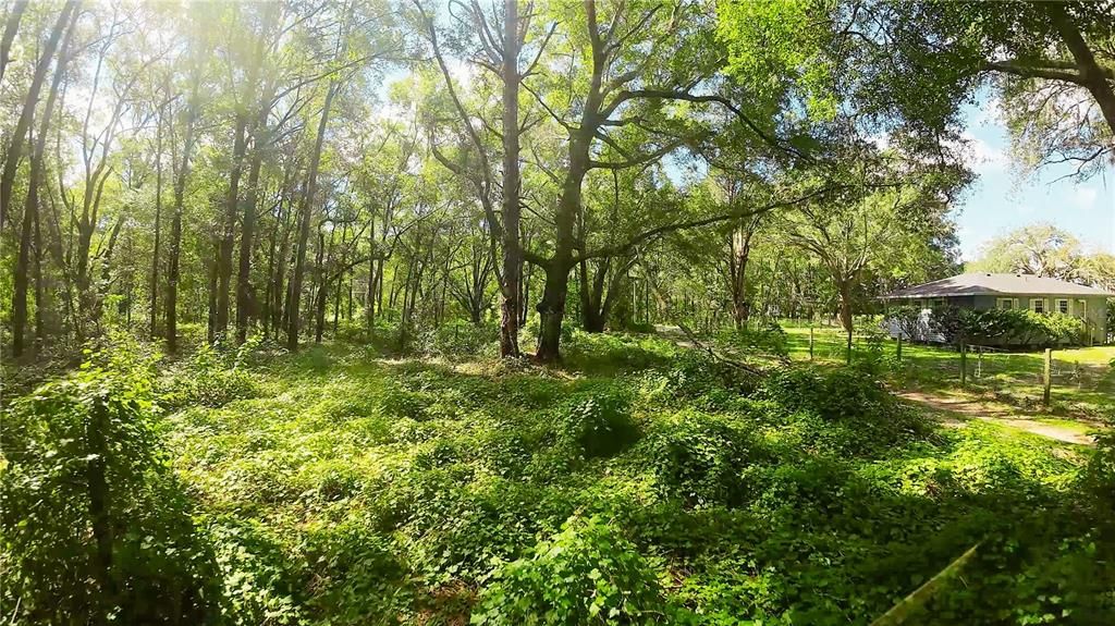 En Venta: $57,000 (1.25 acres)