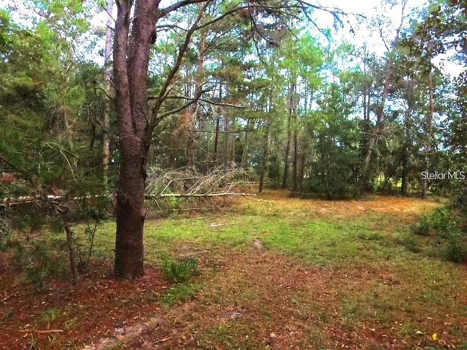 На продажу: $76,000 (0.72 acres)