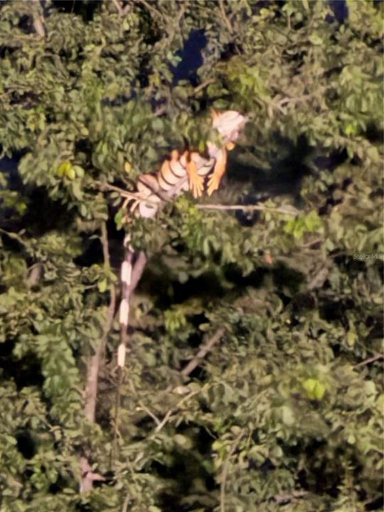 For Sale: $229,900 (2 beds, 1 baths, 629 Square Feet)