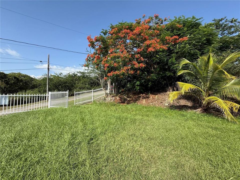 For Sale: $229,900 (2 beds, 1 baths, 629 Square Feet)