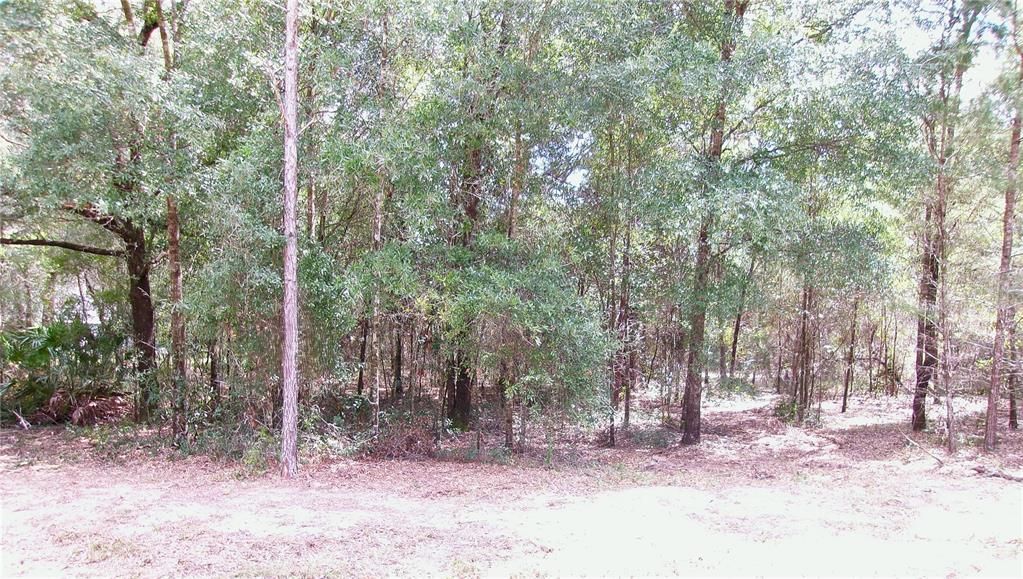 En Venta: $67,000 (1.16 acres)