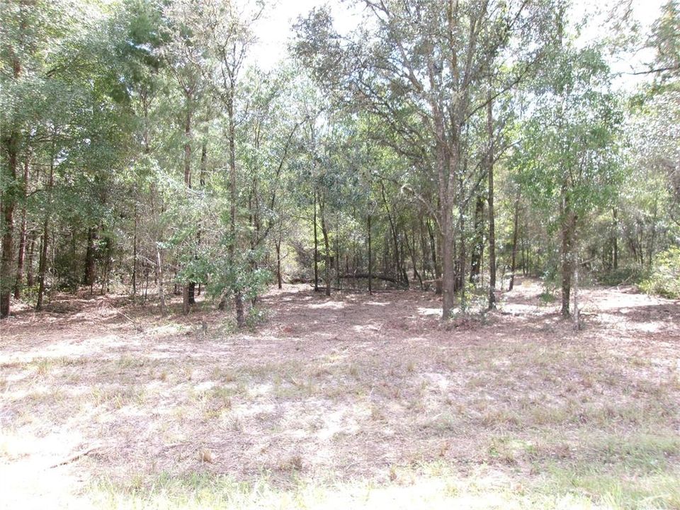 En Venta: $67,000 (1.16 acres)