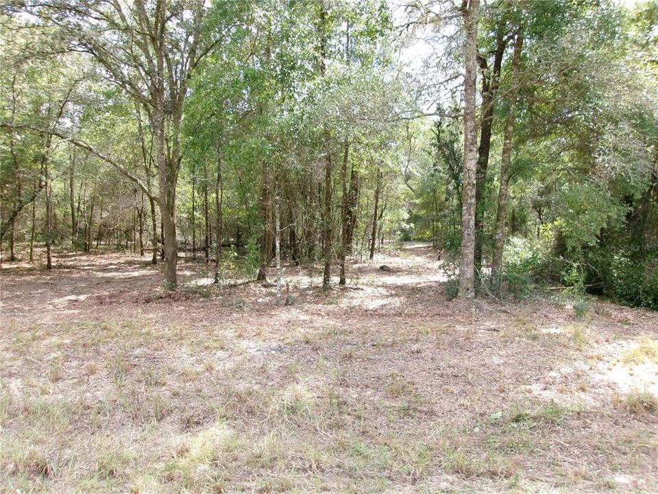 En Venta: $67,000 (1.16 acres)