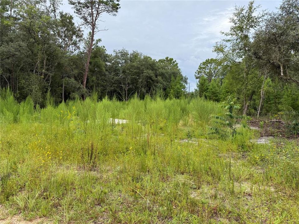 待售: $44,900 (0.23 acres)