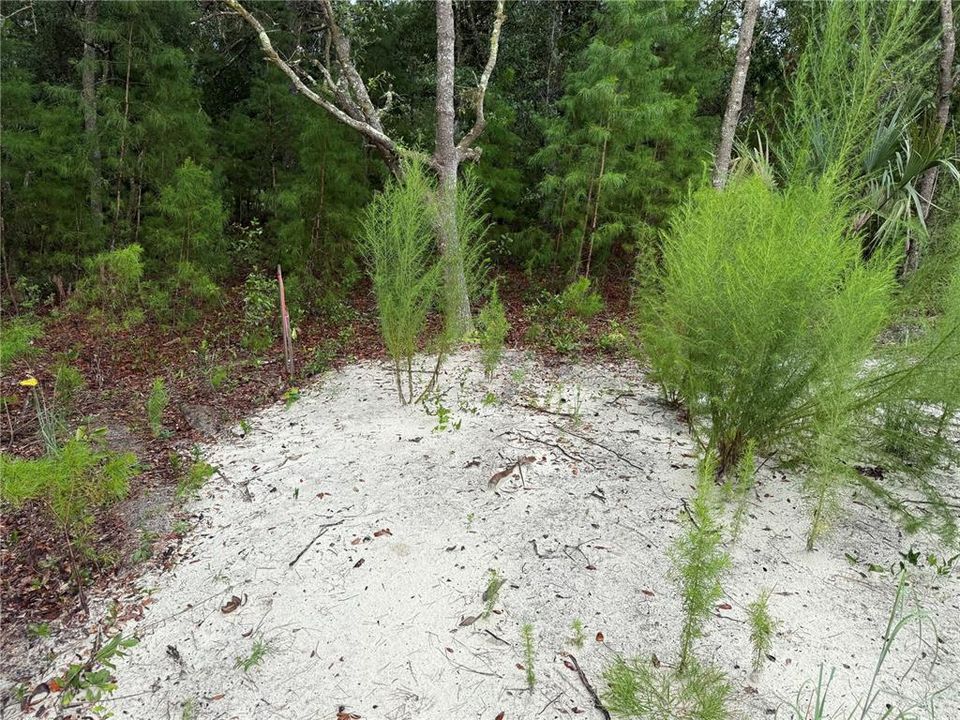 待售: $44,900 (0.23 acres)