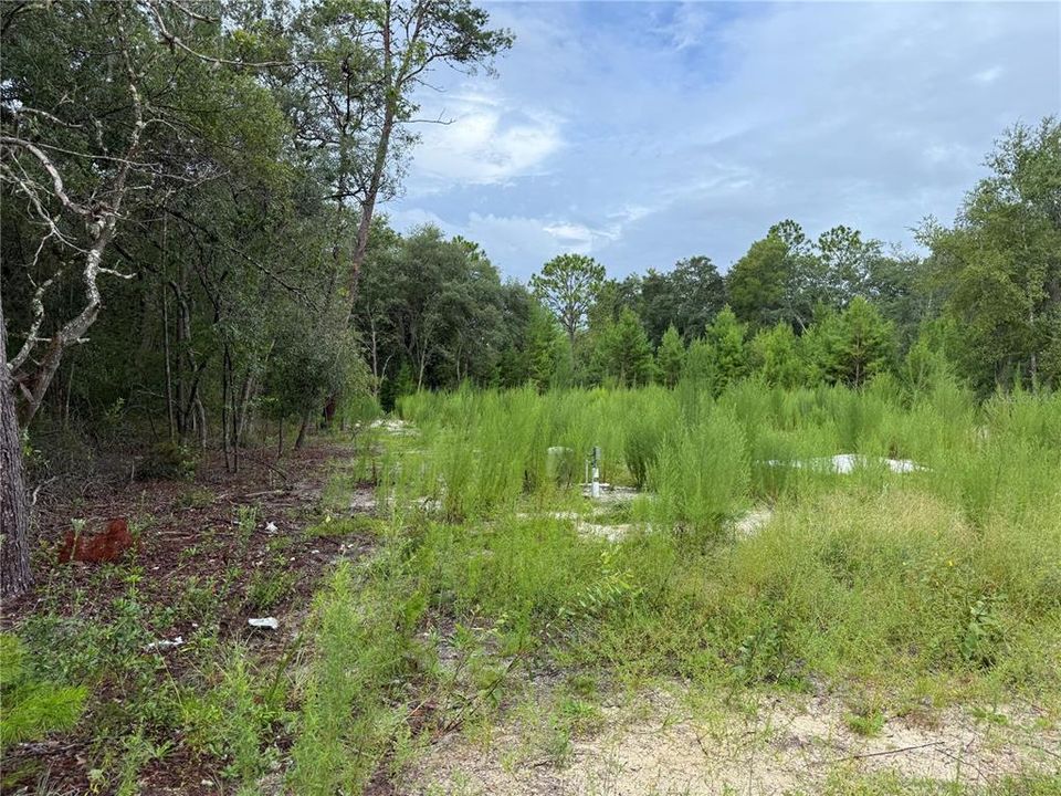 待售: $44,900 (0.23 acres)