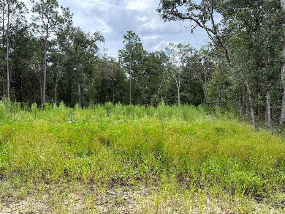 待售: $44,900 (0.23 acres)