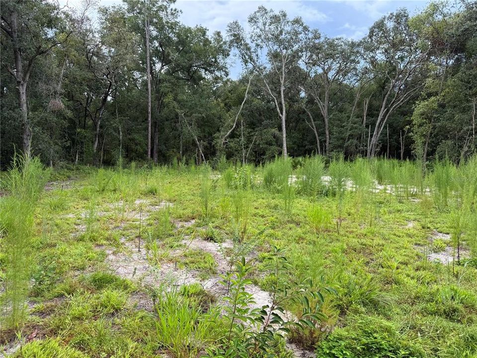 待售: $44,900 (0.23 acres)