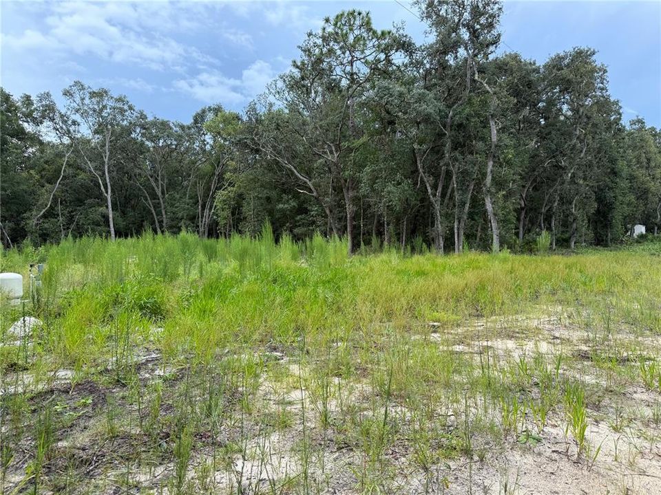 待售: $44,900 (0.23 acres)