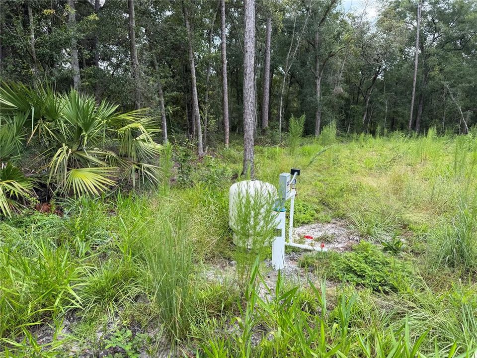 待售: $44,900 (0.23 acres)